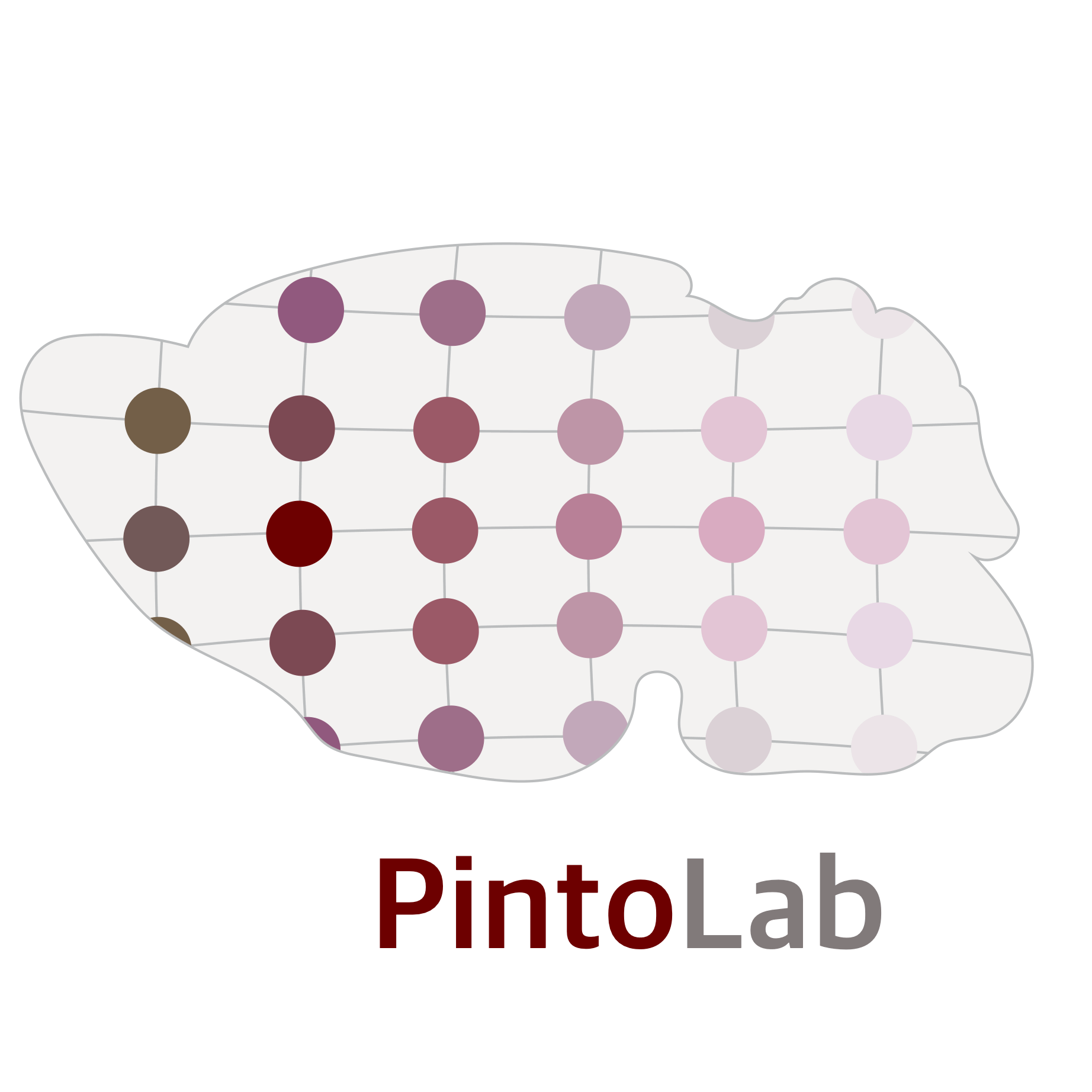 Pinto Lab